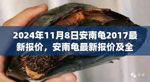 2024年视角,安南龟最新报价及全面评测