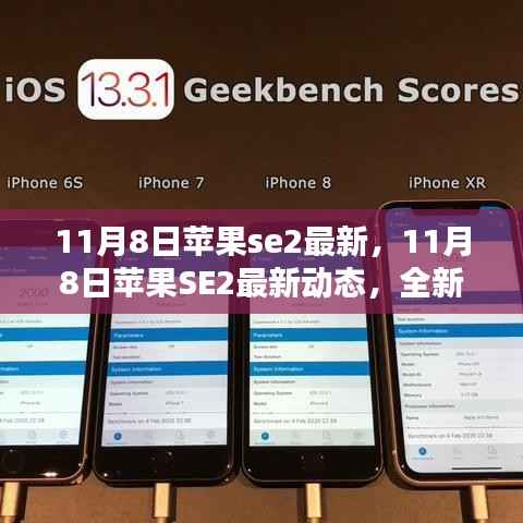 11月8日苹果SE2最新动态,全新升级与独特体验揭秘