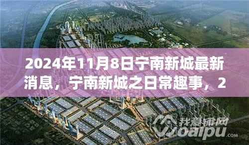 宁南新城日常趣事与阳光温情,2024年11月8日最新消息