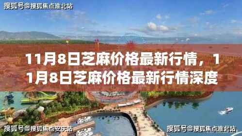 芝麻最新行情解析,多方观点碰撞与个人立场阐述