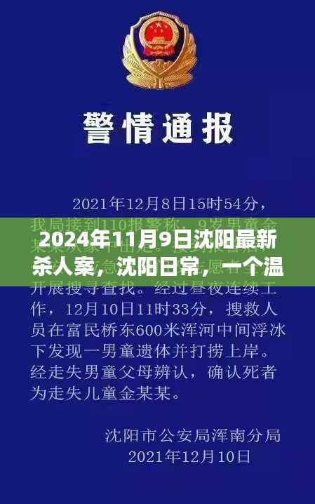 沈阳杀人案背后的友情与陪伴故事,日常温馨背后的真相(2024年)