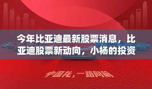 比亚迪最新股票动态与小杨的投资奇遇及友情故事