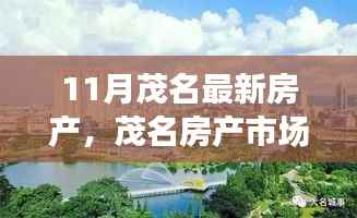 茂名房产市场新篇章,深度观察与影响分析——十一月最新动态与趋势分析