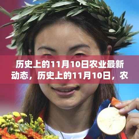历史上的11月10日农业之旅,探寻自然美景,开启内心平静的力量新篇章