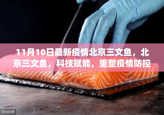 北京三文鱼疫情防控新篇章,科技赋能重塑防线与前沿体验解读