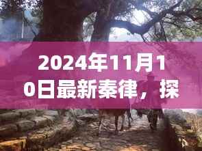 探秘秦律秘境,隐藏版特色小店的非凡故事(最新秦律揭秘)