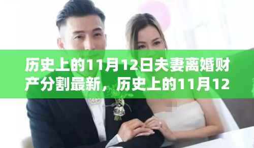 历史上的11月12日夫妻离婚财产分割最新观点探讨,财产分割的最新趋势与变化分析