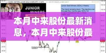 本月中来股份全面评测与最新消息介绍