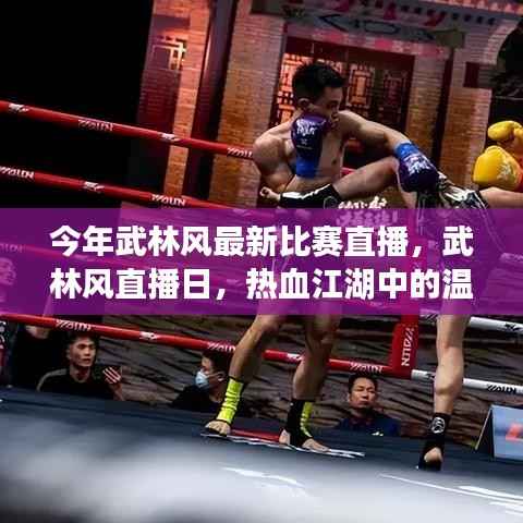 武林风直播日,热血江湖中的温情瞬间与最新比赛直播回顾