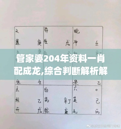 管家婆204年资料一肖配成龙,综合判断解析解答_虚无神祗HWJ290.98