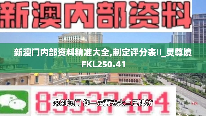 新澳门内部资料精准大全,制定评分表_灵尊境FKL250.41