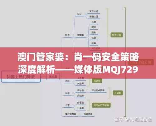 澳门管家婆:肖一码安全策略深度解析——媒体版MQJ729.88