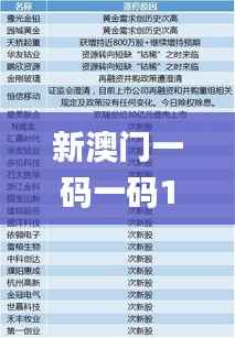 新澳门一码一码100准确,最新研究解释定义_可靠版961.17