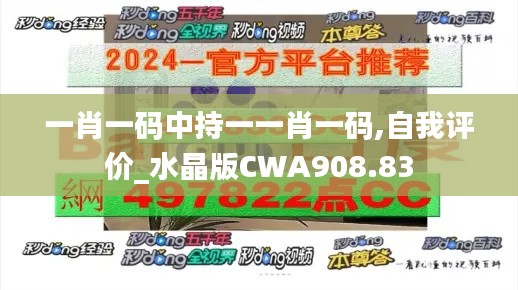 一肖一码中持一一肖一码,自我评价_水晶版CWA908.83