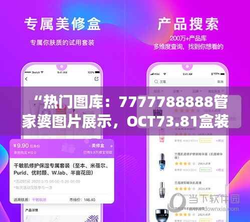 “热门图库:7777788888管家婆图片展示,OCT73.81盒装版解析”