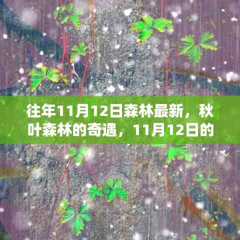 秋日森林奇遇,温馨记忆中的最新秋叶森林