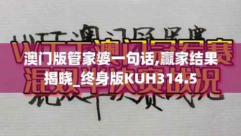 澳门版管家婆一句话,赢家结果揭晓_终身版KUH314.5