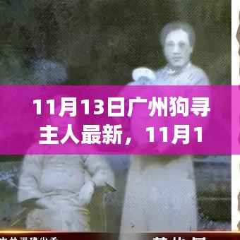 广州狗狗寻找主人最新进展,温暖重逢与寻宠路上的希望(11月13日更新)