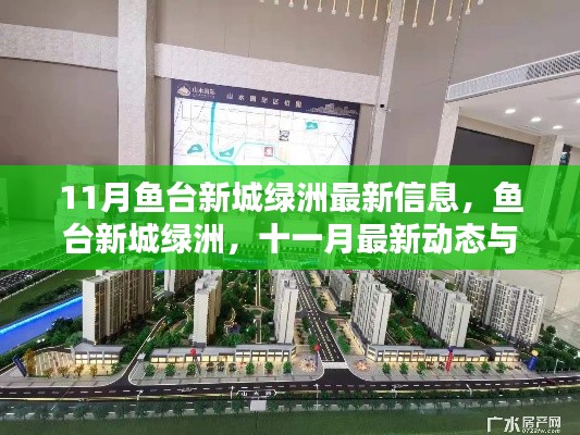 鱼台新城绿洲十一月最新动态与影响回顾,最新信息一览