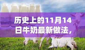 历史上的11月14日,牛奶最新做法演变之旅探索