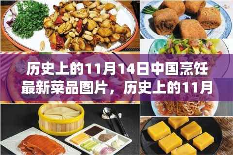 11月14日中国烹饪新菜品图片展示,历史菜品深度评测与介绍