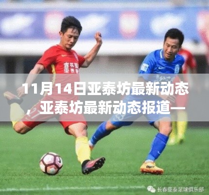 亚泰坊技术更新与未来发展动态报道(11月14日更新版)