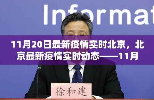 北京疫情最新动态,11月20日报告及关键要点解析