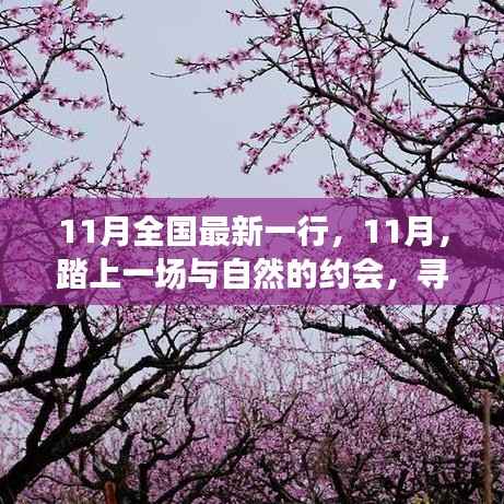 11月踏自然之旅,内心的桃花源探寻记