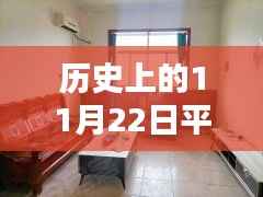 历史上的11月22日平原温馨租房奇遇记,家缘际会与最新租房信息