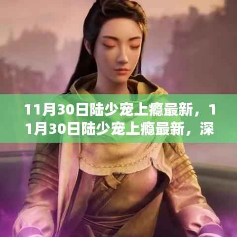 公司概况 第177页