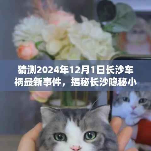 长沙车祸引领的奇妙探索之旅,隐秘小巷特色小店揭秘与揭秘之旅(最新事件猜测)