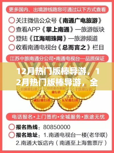 12月热门版棒导游,全面评测与详细介绍