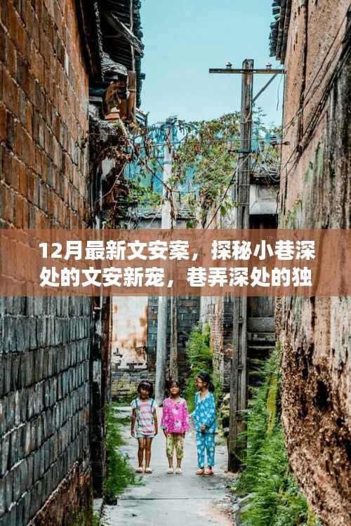 探秘文安案,巷弄深处的独特风味小店新宠