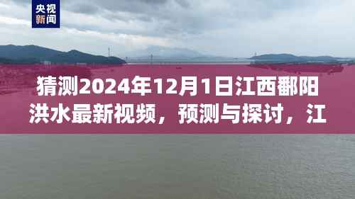 江西鄱阳湖区洪水现象观察与预测,聚焦2024年12月1日的最新视频探讨