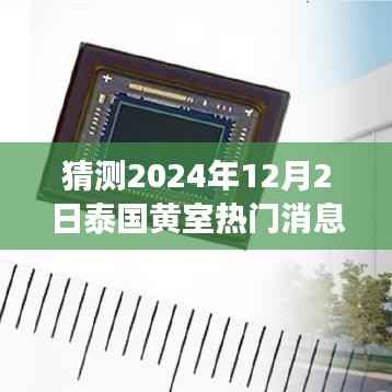 泰国黄室风云揭秘,学习变革与梦想实现,2024年12月2日的辉煌展望