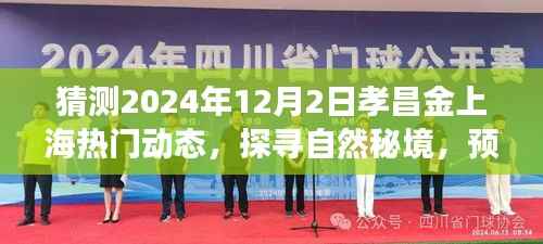 孝昌金上海2024年12月2日探寻自然秘境,旅行热潮预测,奇妙之旅即将启程