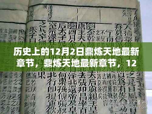 鼎炼天地最新章节及温馨日常在12月2日