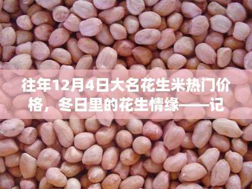冬日花生情缘,探寻大名花生米热门价格与奇妙之旅