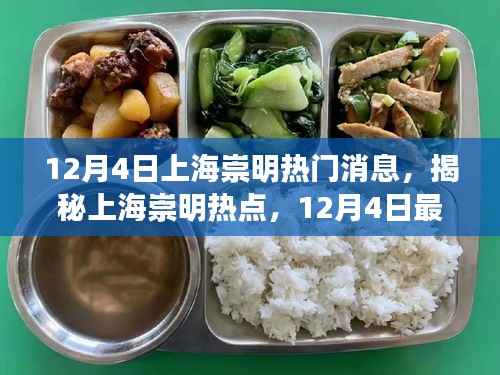 揭秘上海崇明热点,最新消息速递(12月4日)