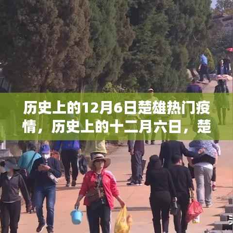历史上的十二月六日,楚雄疫情风云变迁回顾