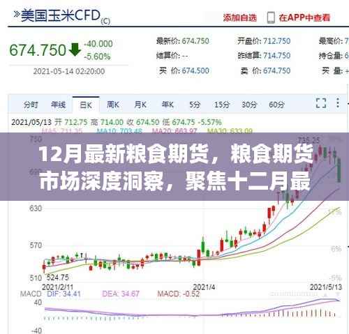 聚焦粮食期货市场深度洞察,十二月最新动态与市场趋势