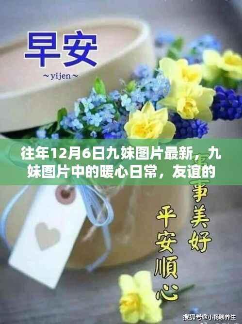 往年12月6日九妹图片回顾,暖心日常与友谊的温馨回忆
