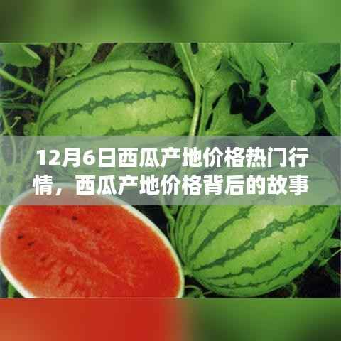 诚聘英才 第149页