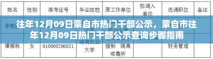 蒙自市历年12月09日干部公示及查询指南