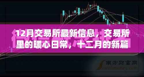 交易所暖心日常,十二月新篇章开启