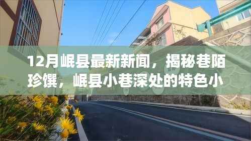 揭秘岷县小巷深处的特色小店,巷陌珍馔十二月独家新闻