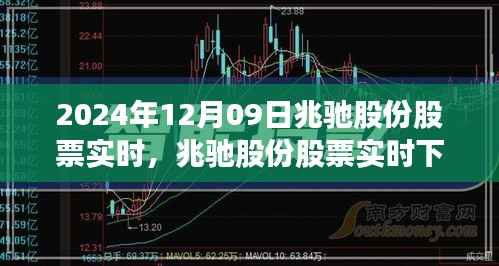 兆驰股份股票实时下的心灵探索之旅,寻找宁静与平和