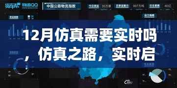 仿真之路,实时启航,迎接自信与成就感的魔法时刻——十二月仿真需求解析