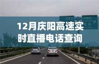 庆阳高速直播电话查询背后的励志故事，驾驭变化，驶向成功