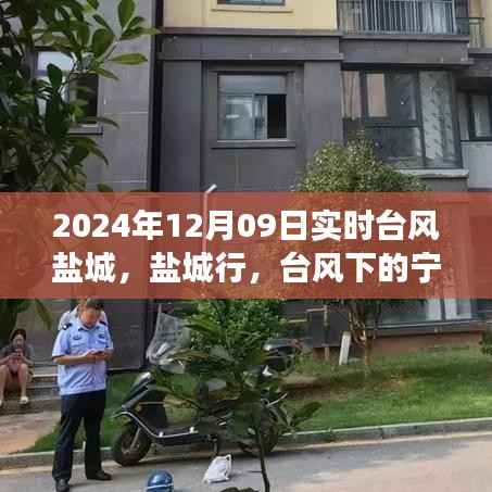 台风下的盐城探寻之旅,自然之美与内心宁静的交融之路(实时更新)